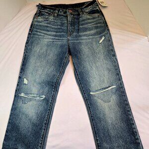 BUFFALO DAVID BITTON Women's Jayden High Rise Straight Jeans Sz: 29